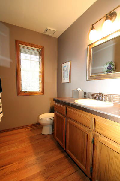 Lower level fireplace